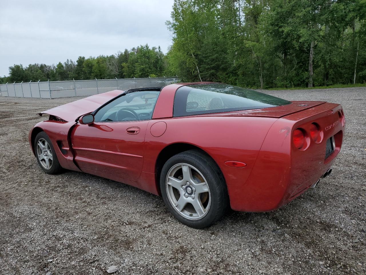 1999 Chevrolet Corvette VIN: 1G1YY22G4X5107317 Lot: 65749474