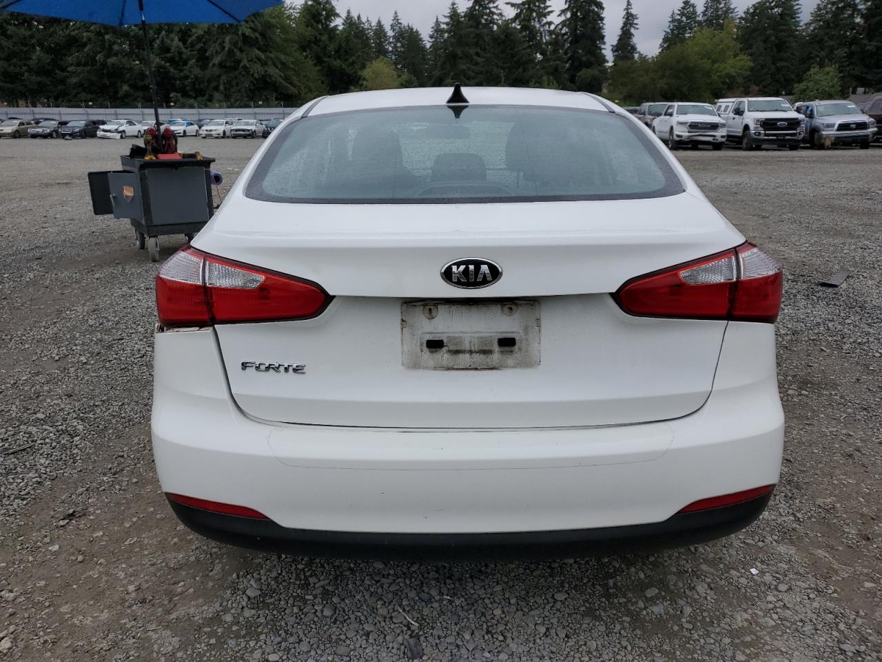 2016 Kia Forte Lx VIN: KNAFK4A6XG5619715 Lot: 68087844