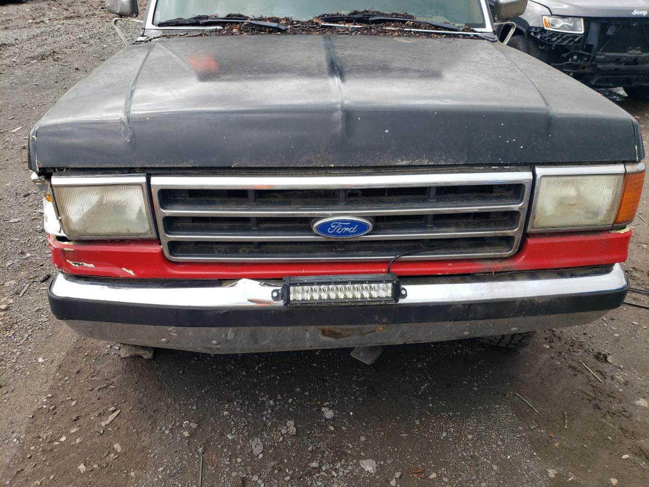 1991 Ford Bronco U100 VIN: 1FMEU15N8MLA14586 Lot: 66927454