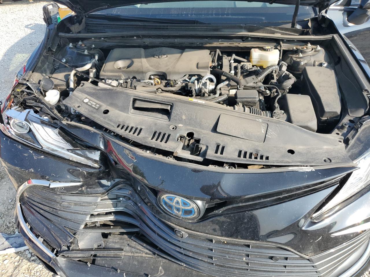 4T1F31AK5PU601992 2023 Toyota Camry Xle