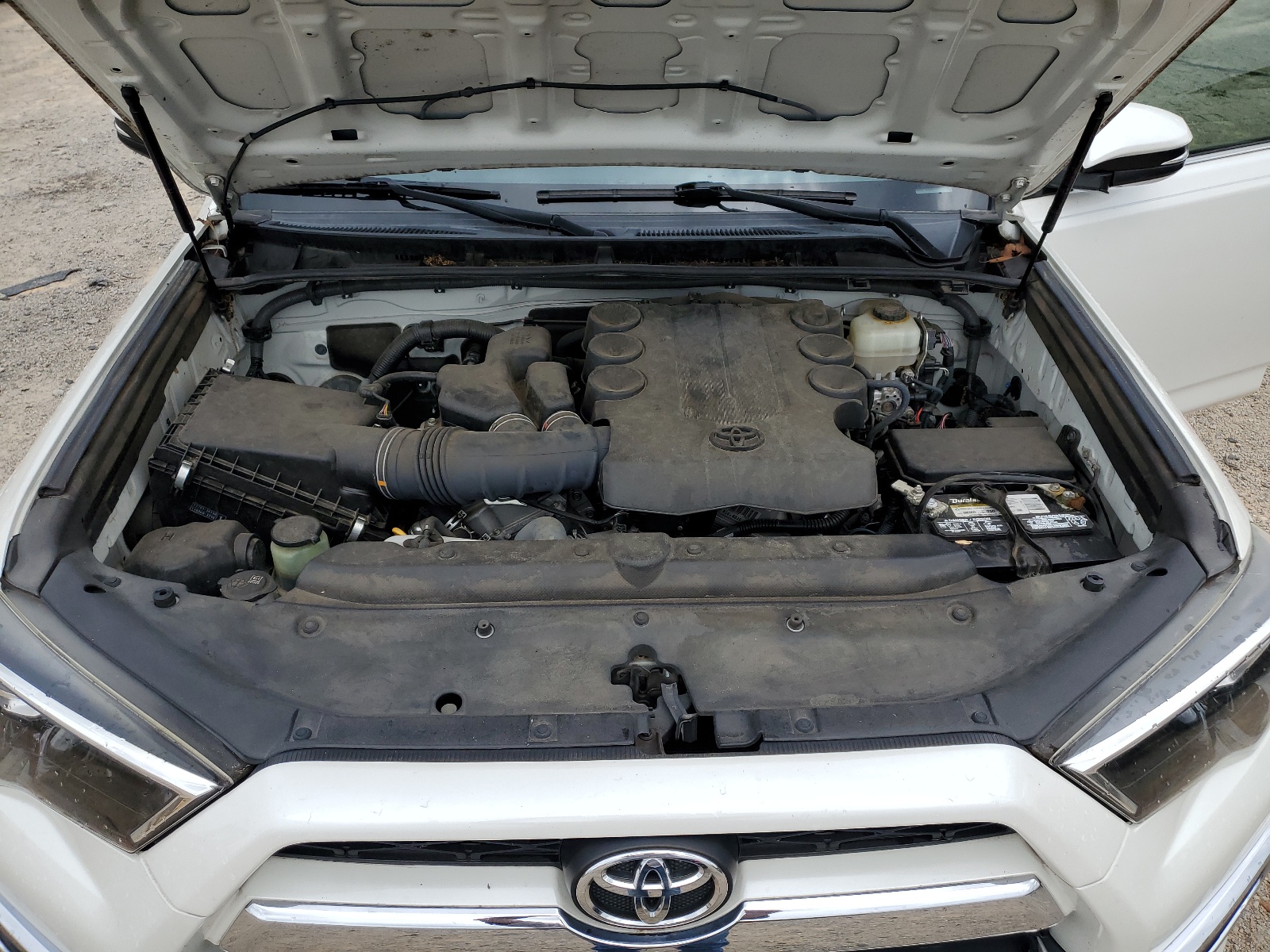 JTEBU5JR9E5190314 2014 Toyota 4Runner Sr5