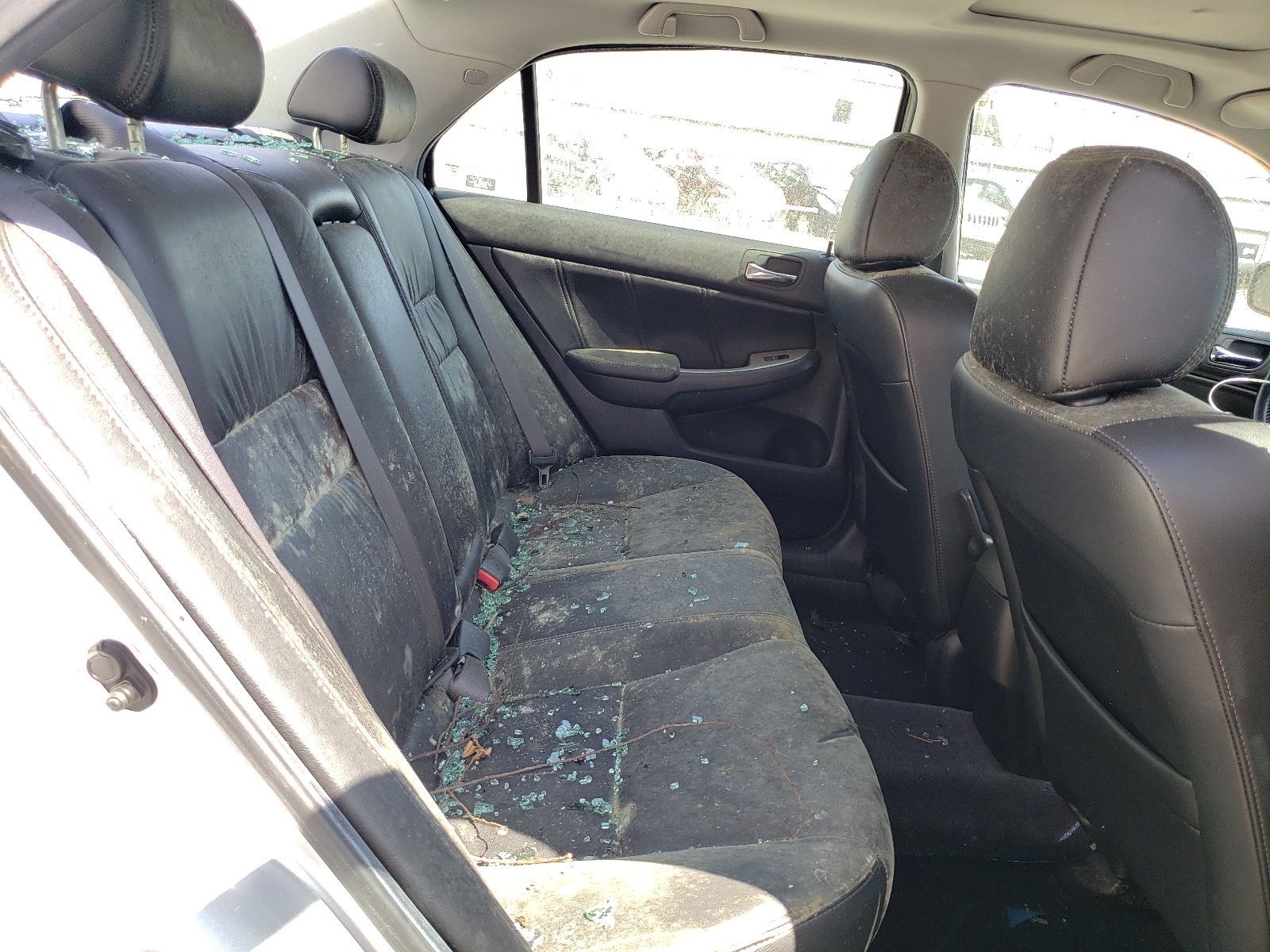 1HGCM56836A094620 2006 Honda Accord Ex