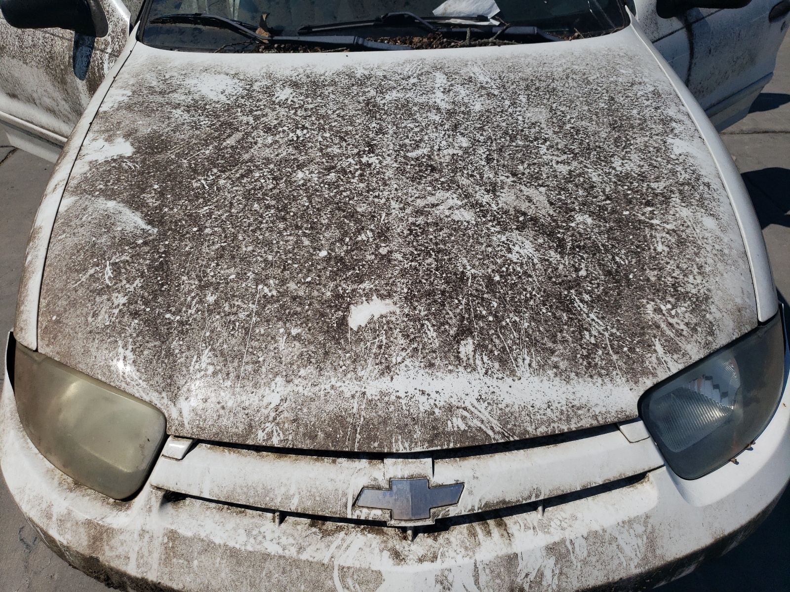 1G1JC52F337203401 2003 Chevrolet Cavalier