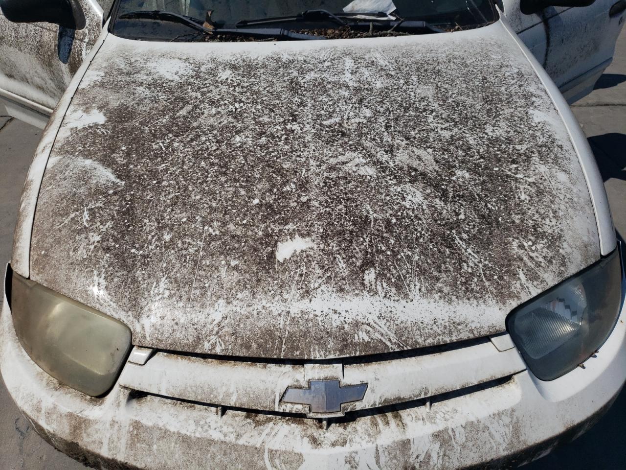 2003 Chevrolet Cavalier VIN: 1G1JC52F337203401 Lot: 66017064