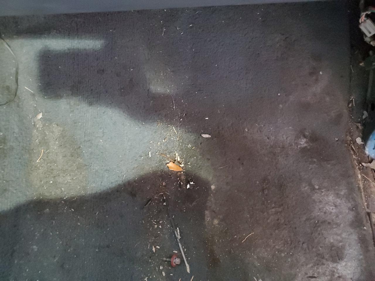 1992 Ford F150 VIN: 1FTEX14Y2NKA38932 Lot: 66343204