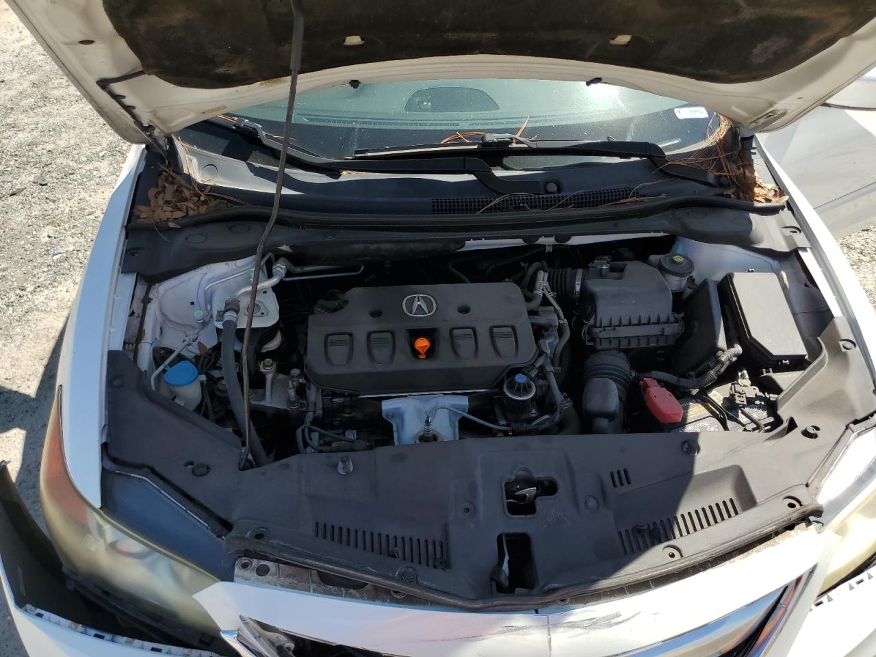 19VDE1F74DE010484 2013 Acura Ilx 20 Tech