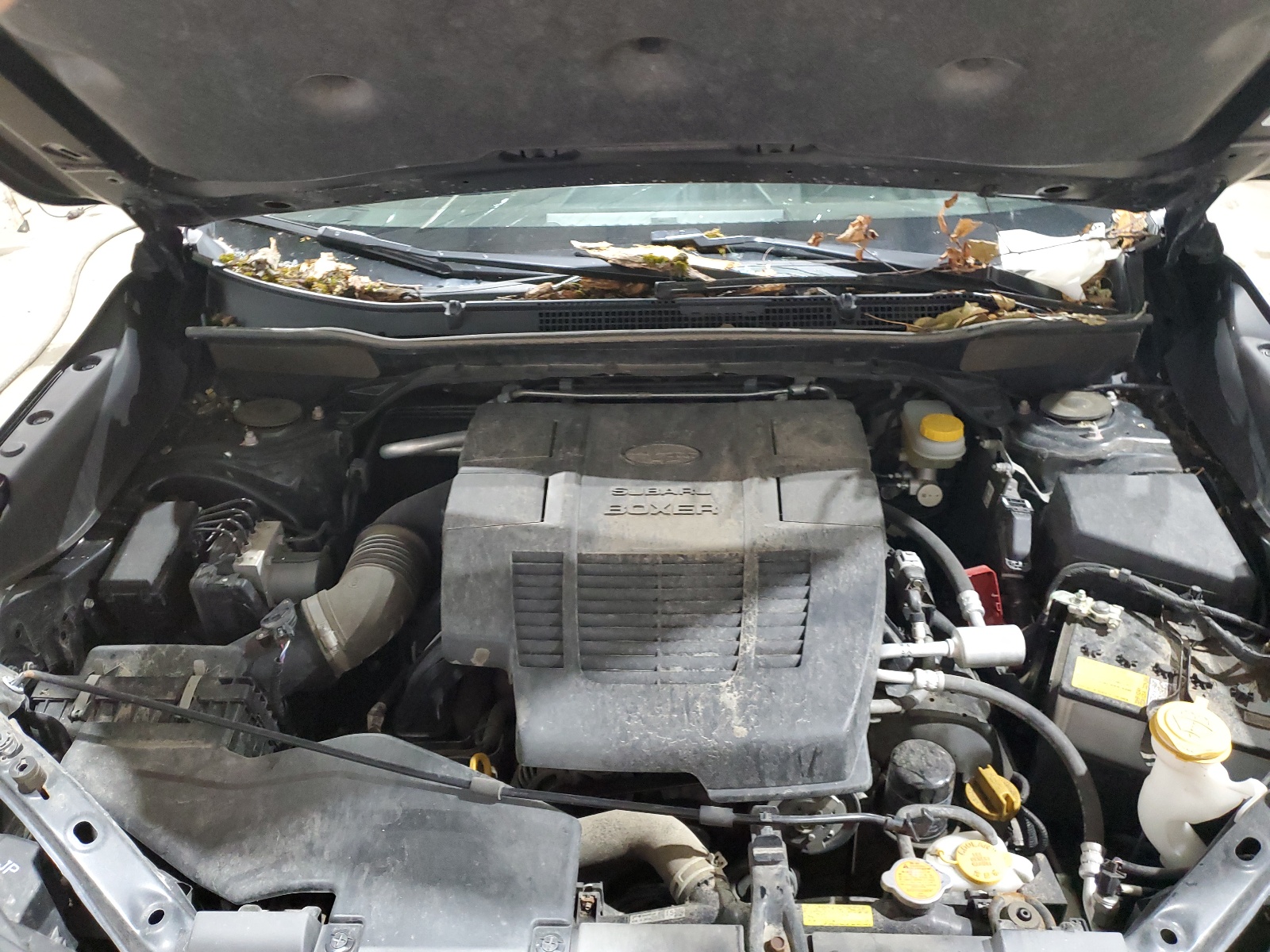 JF2SKARC2MH438422 2021 Subaru Forester Sport