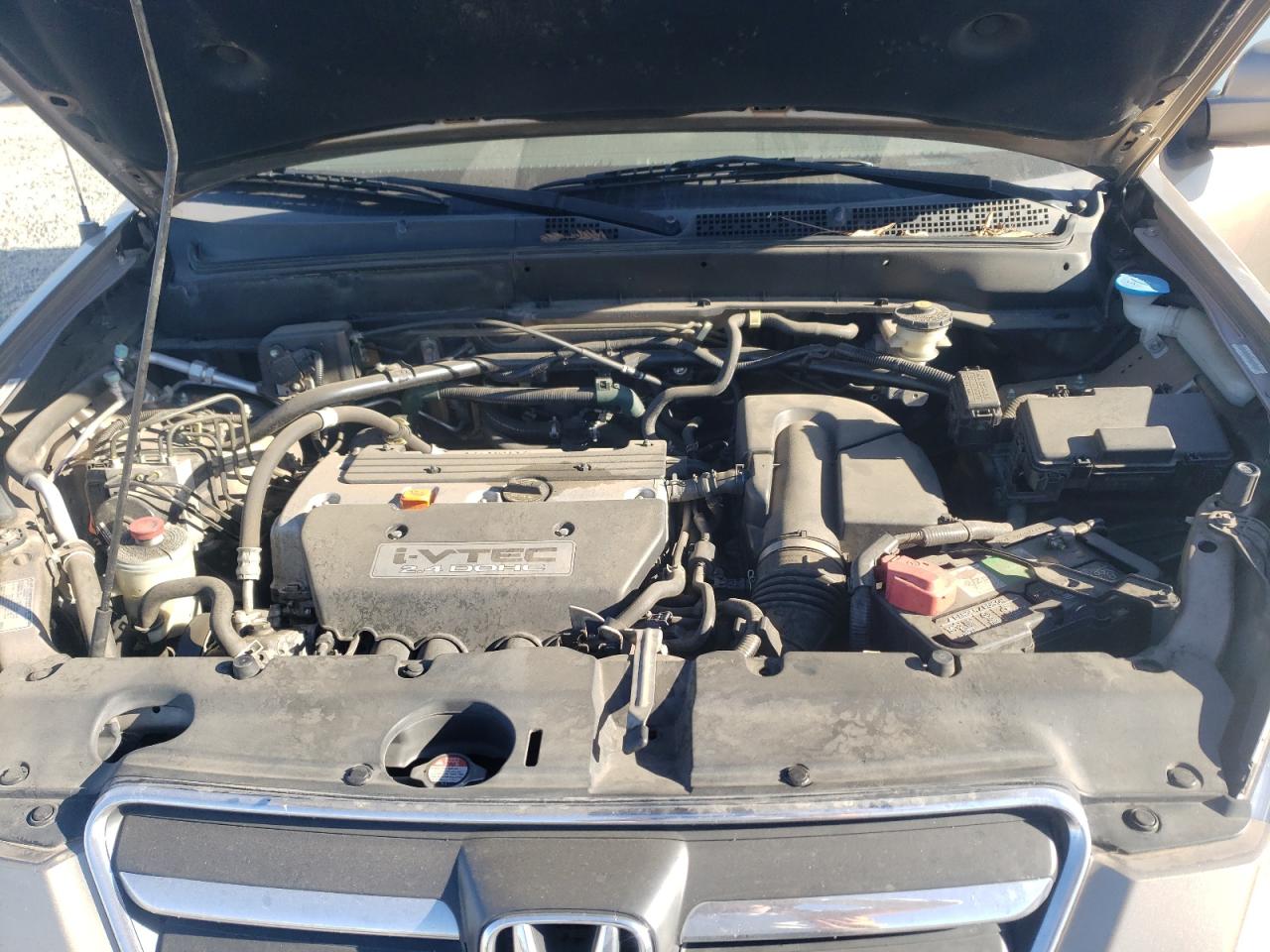 2006 Honda Cr-V Se VIN: JHLRD78926C051565 Lot: 66386254