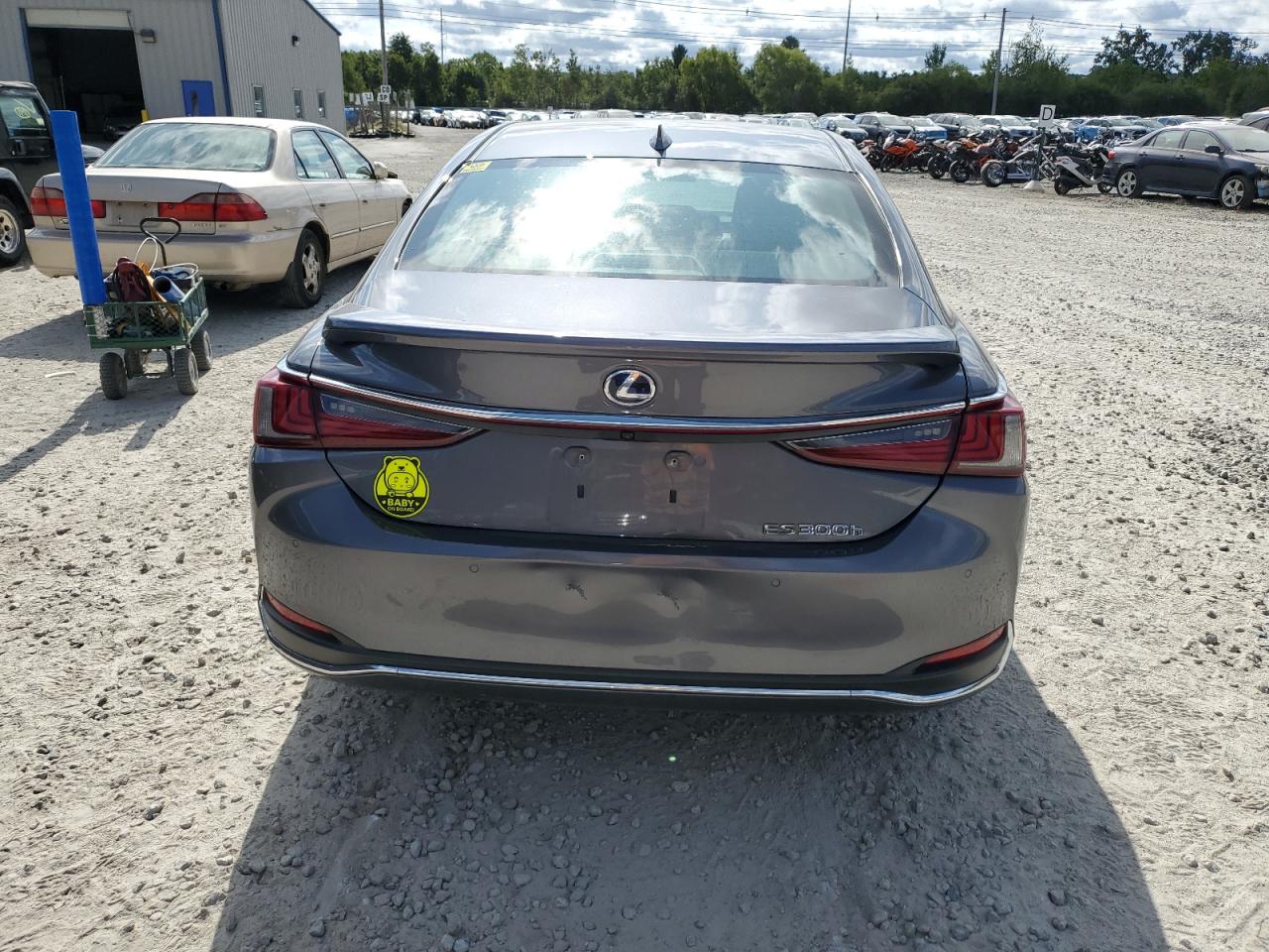 2021 Lexus Es 300H Luxury VIN: 58AEA1C18MU005477 Lot: 69672084