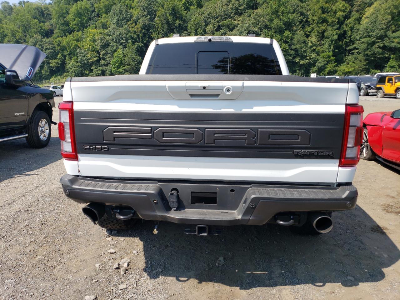 2022 Ford F150 Raptor VIN: 1FTFW1RG6NFA83520 Lot: 67548454