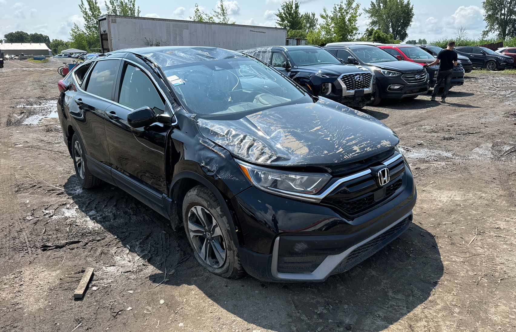 2020 Honda Cr-V Lx vin: 2HKRW2H20LH221001