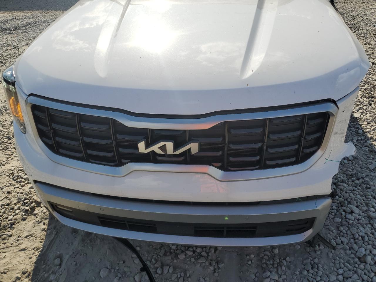 5XYP54GC9RG454570 2024 Kia Telluride Sx