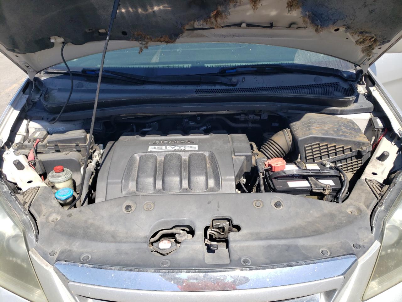 2005 Honda Odyssey Exl VIN: 5FNRL38735B091601 Lot: 67214604