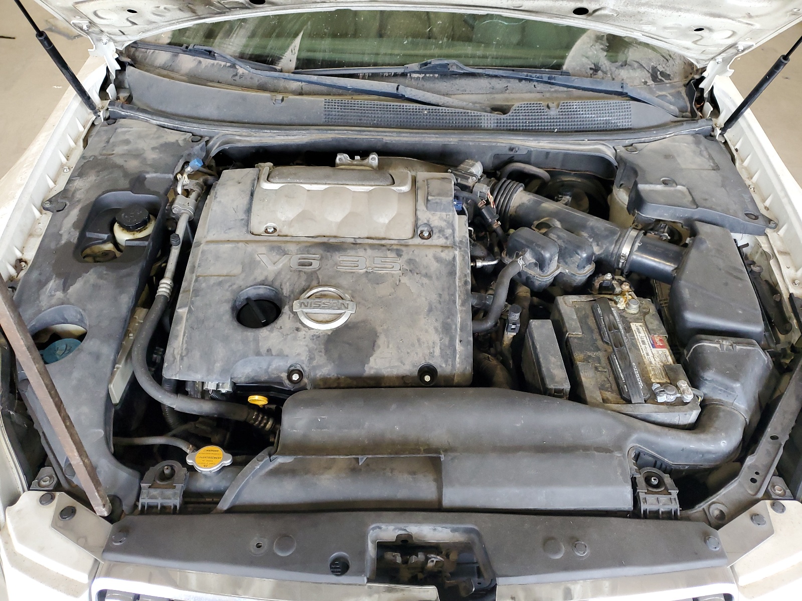 1N4BA41E34C870164 2004 Nissan Maxima Se