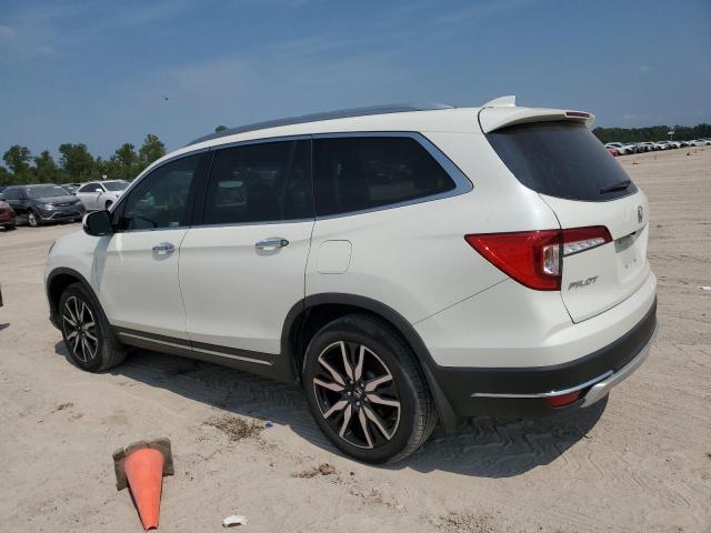 2019 HONDA PILOT ELIT 5FNYF6H03KB041686  66823294