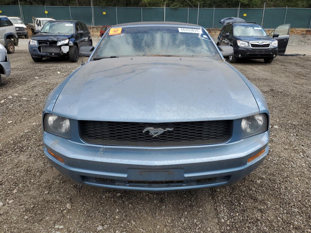 1ZVFT84N255252801 2005 Ford Mustang