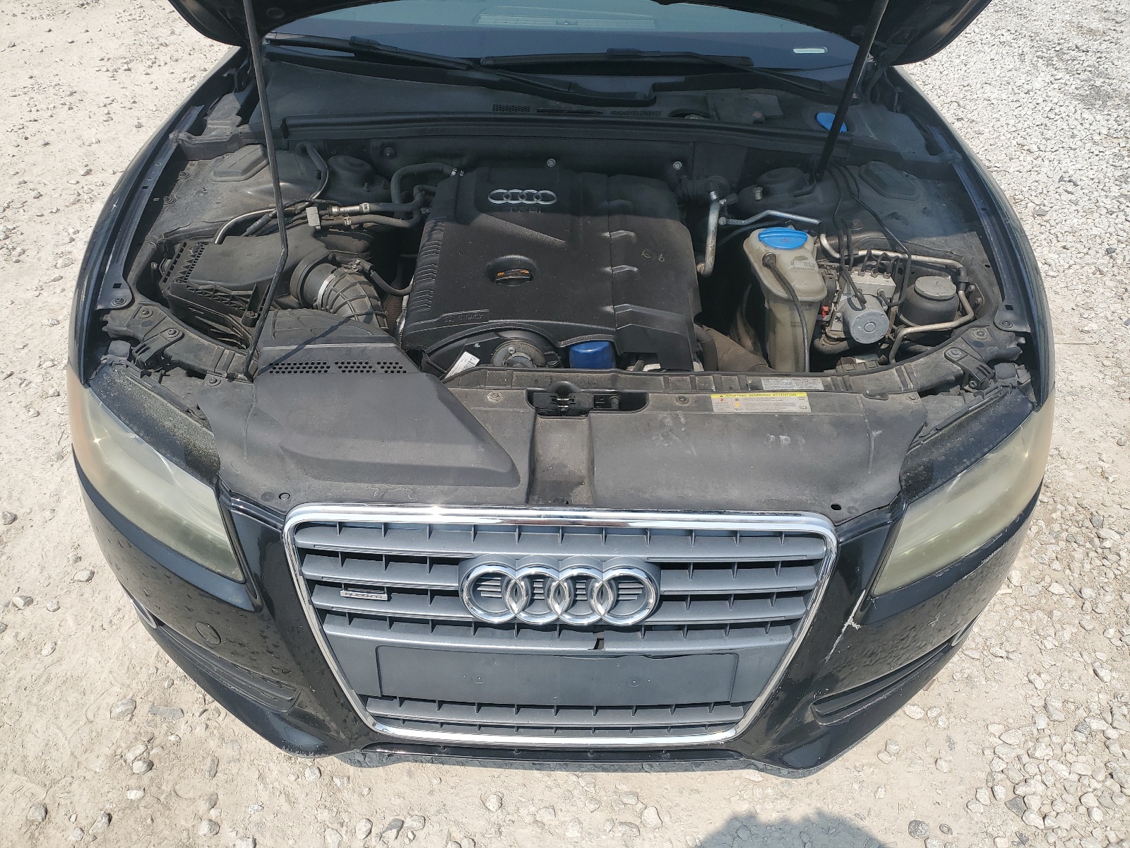 WAULFAFR3BA015707 2011 Audi A5 Premium Plus