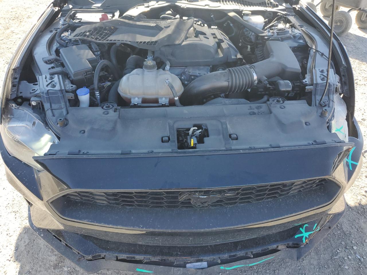 1FATP8UH7K5175607 2019 Ford Mustang