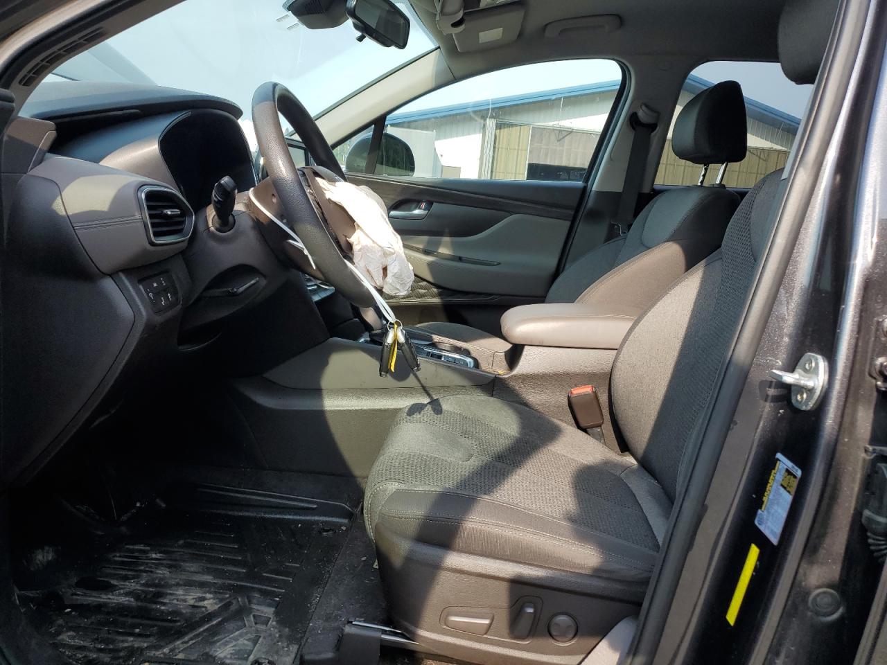 2020 Hyundai Santa Fe Sel VIN: 5NMS3CAD4LH271232 Lot: 65403734