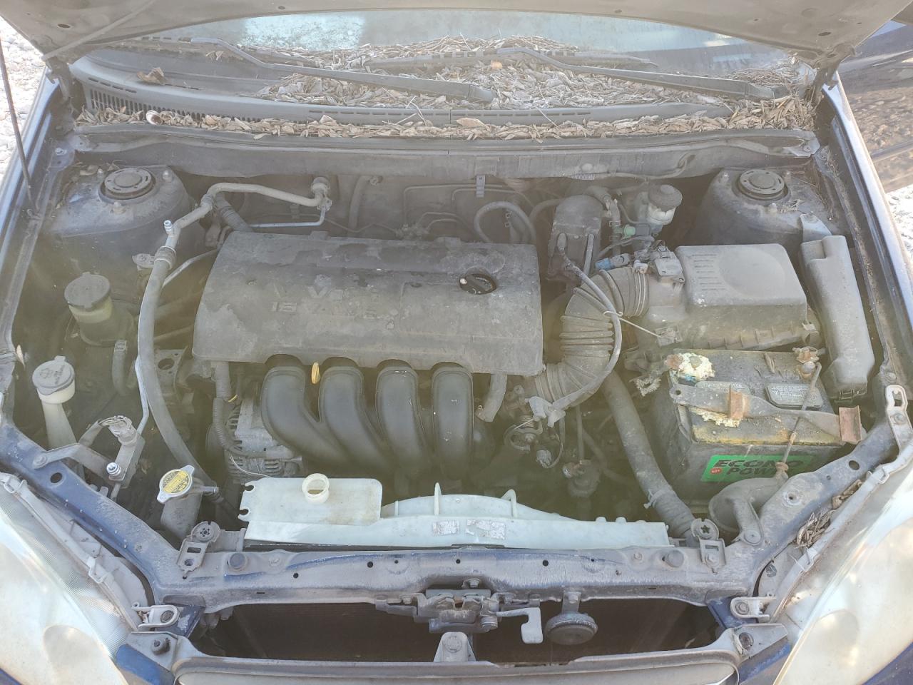 2004 Toyota Corolla Ce VIN: 1NXBR32E64Z244240 Lot: 65578104