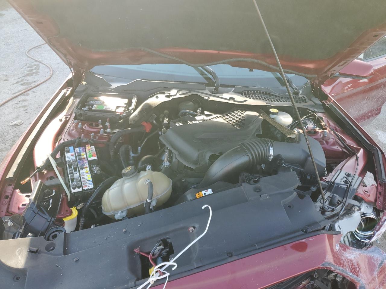 2017 Ford Mustang VIN: 1FA6P8TH4H5332825 Lot: 65710544