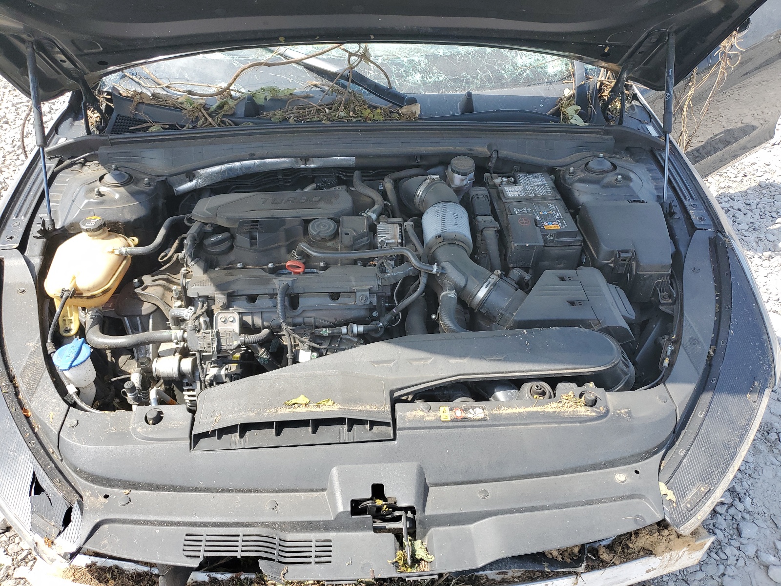 5XXG64J28MG042120 2021 Kia K5 Gt Line