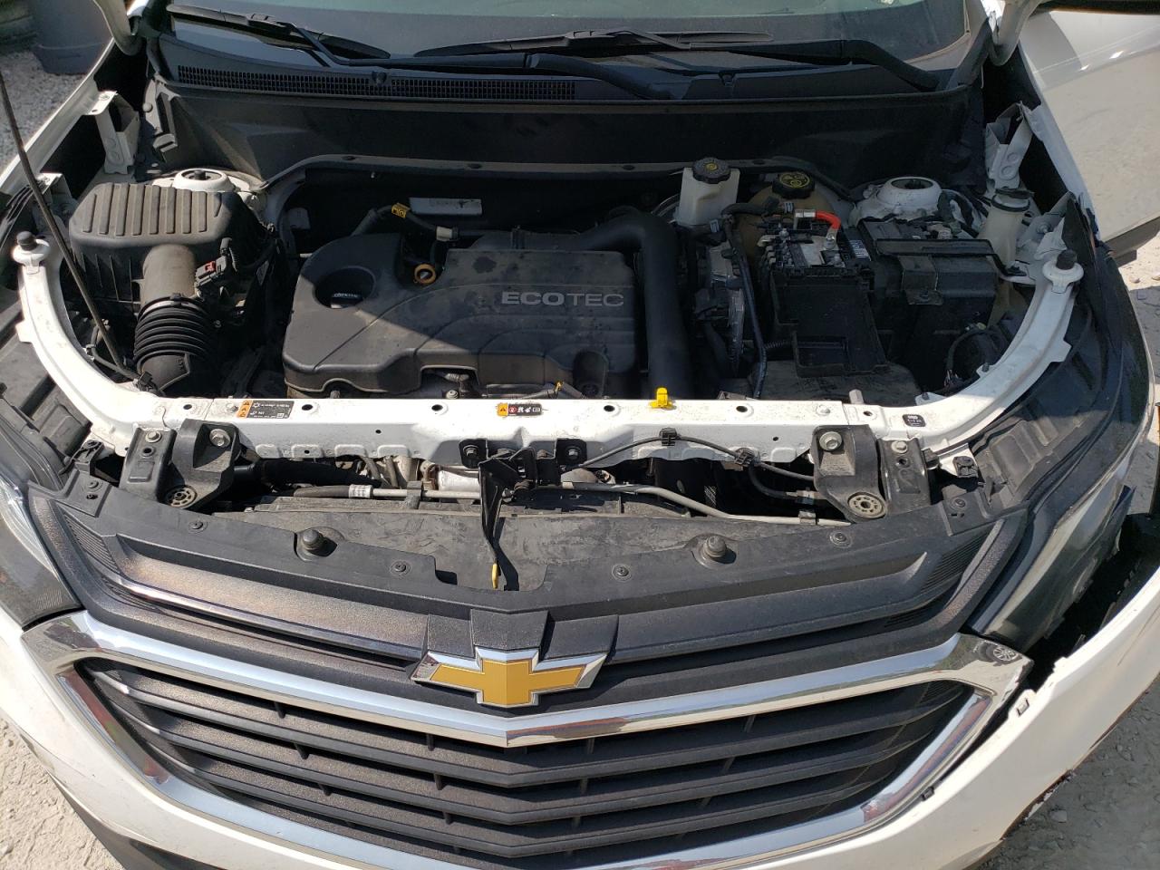 2GNAXHEV0K6118652 2019 Chevrolet Equinox Ls