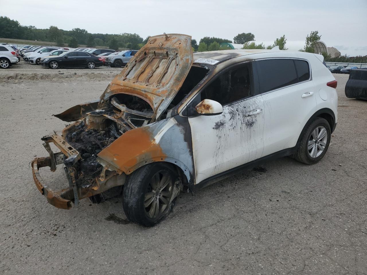 2018 Kia Sportage - Image 1