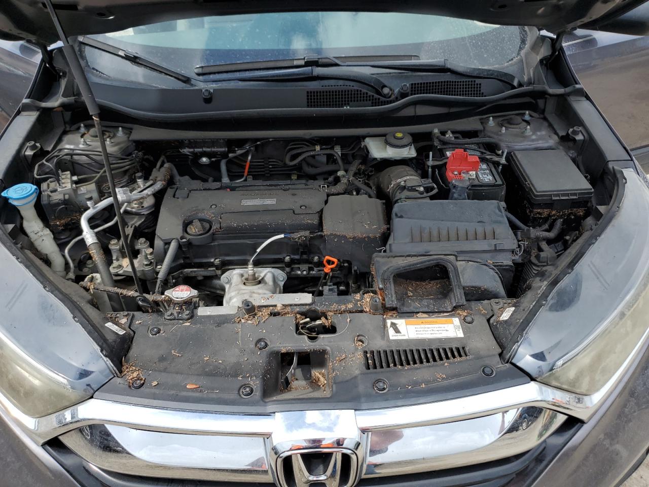 2017 Honda Cr-V Lx VIN: 7FARW5H3XHE013695 Lot: 67206394