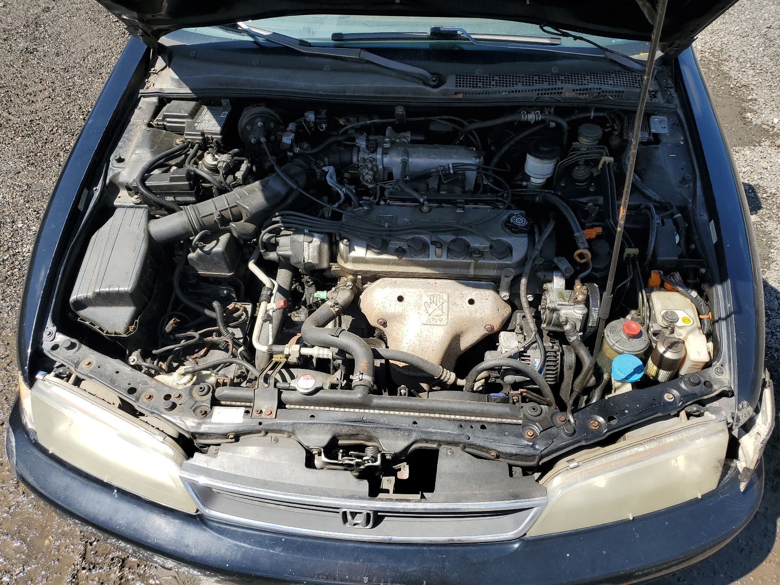 1HGCD5550TA068639 1996 Honda Accord Ex