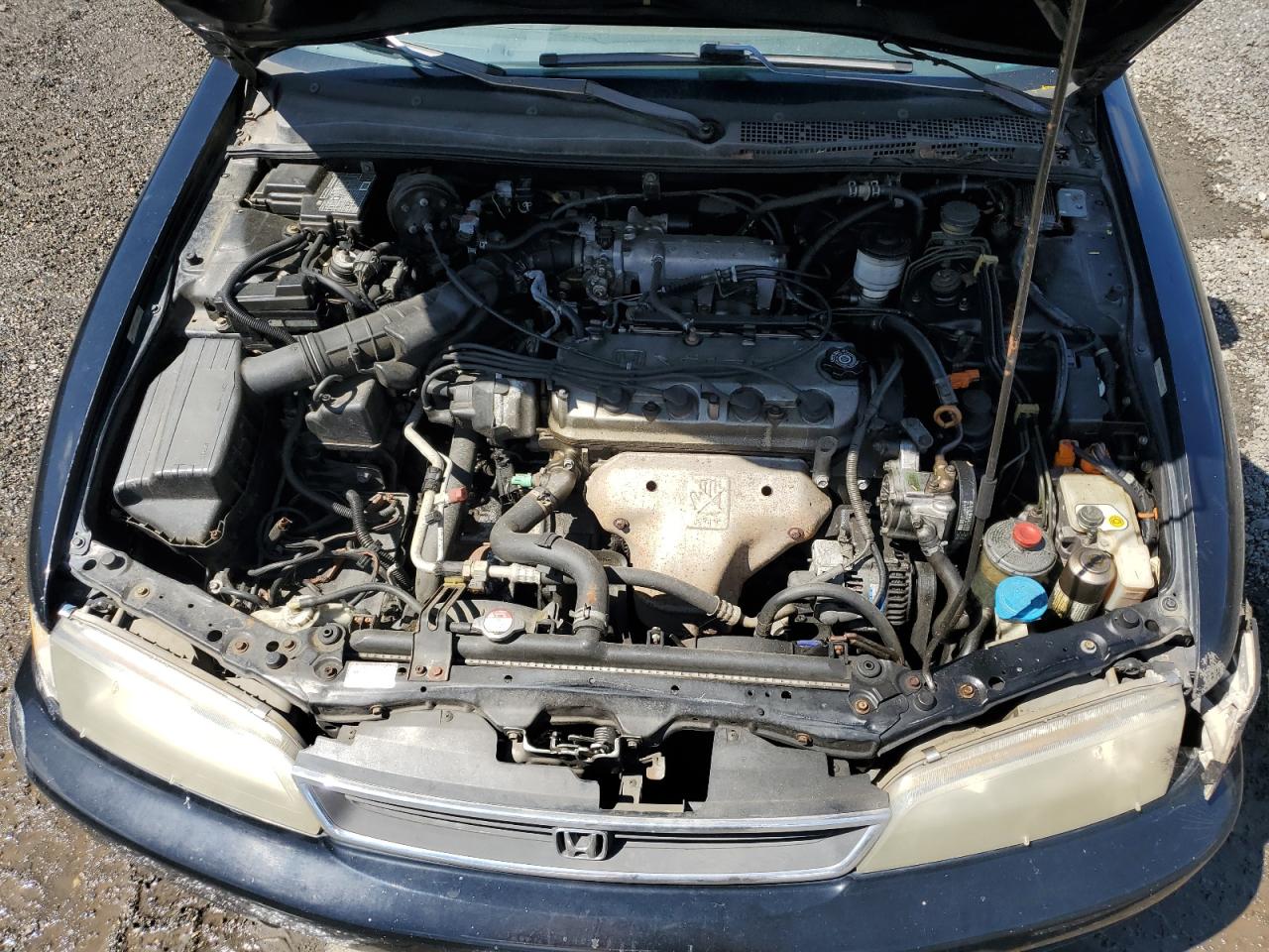 1996 Honda Accord Ex VIN: 1HGCD5550TA068639 Lot: 66709784