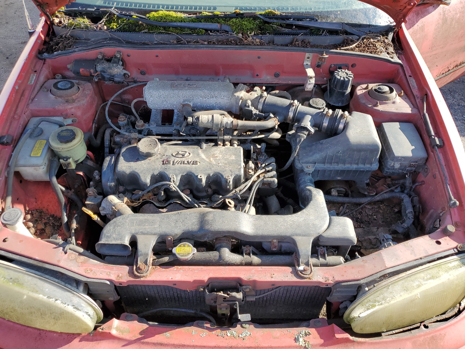 KMHVF14N5SU118813 1995 Hyundai Accent