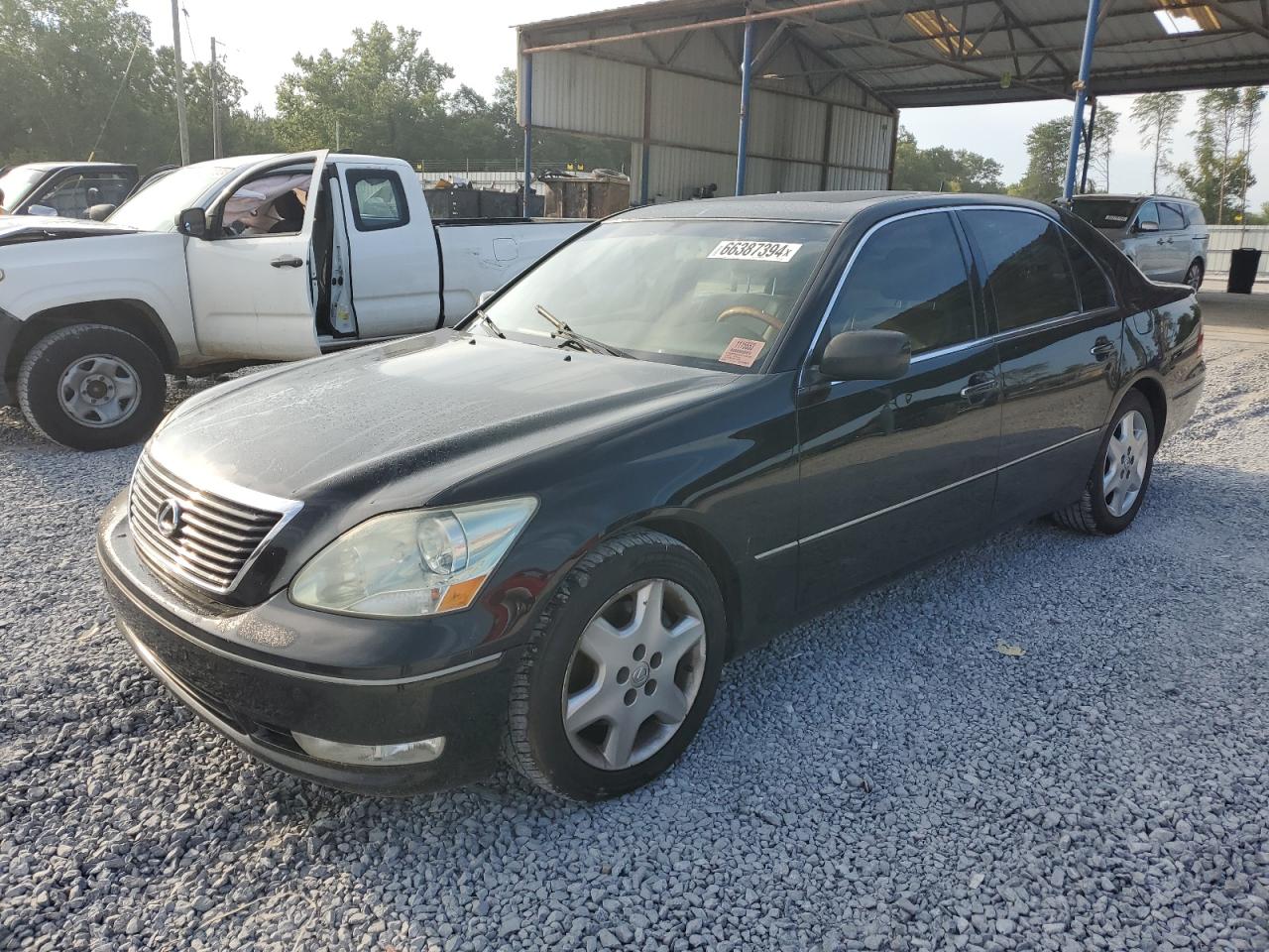 2004 Lexus Ls 430 VIN: JTHBN36F340169599 Lot: 66387394