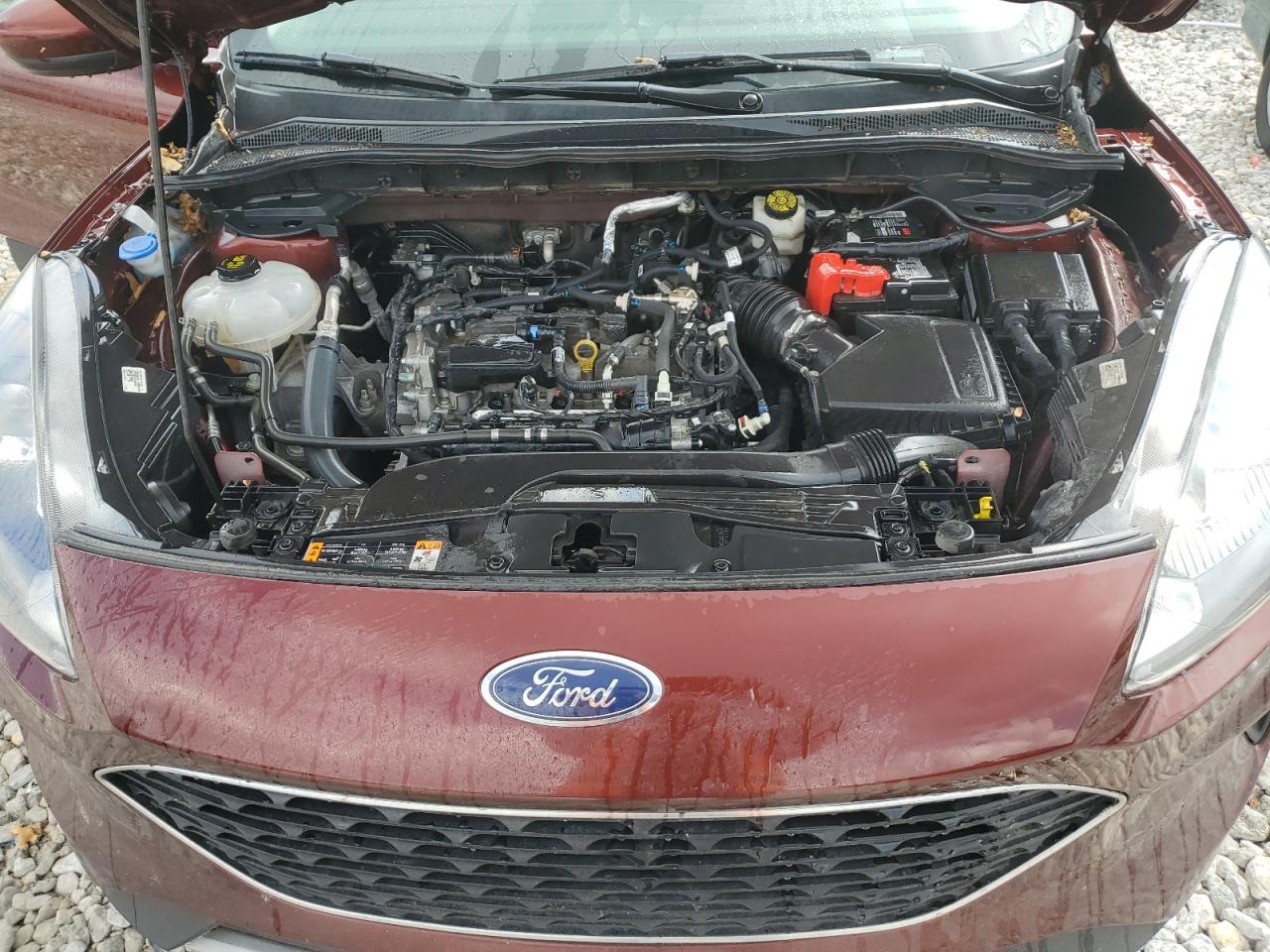 2021 Ford Escape Se VIN: 1FMCU0G6XMUA68036 Lot: 69420554