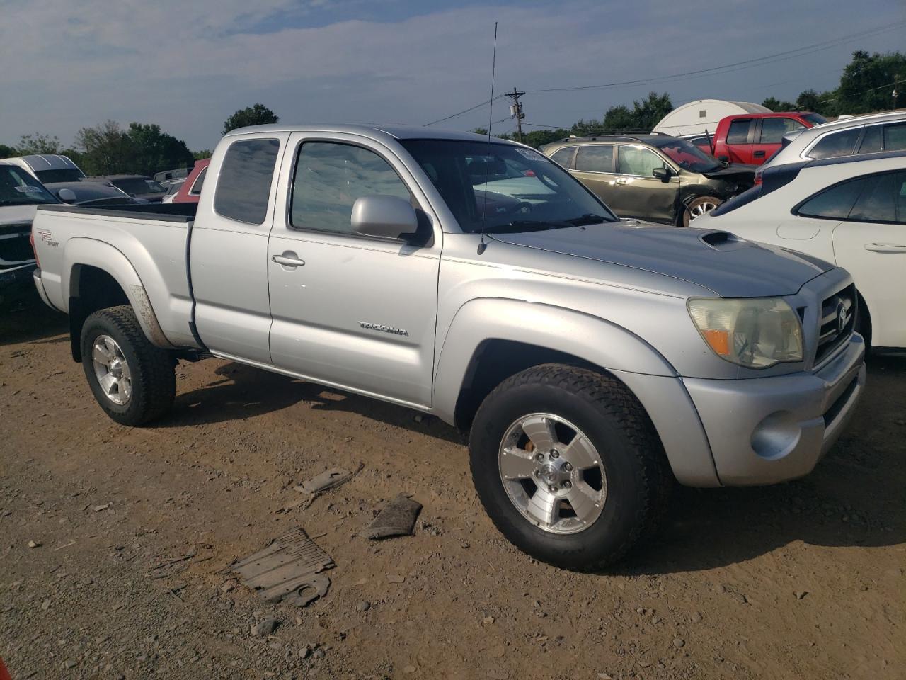 2006 Toyota Tacoma Prerunner Access Cab VIN: 5TETU62N16Z295759 Lot: 66734284