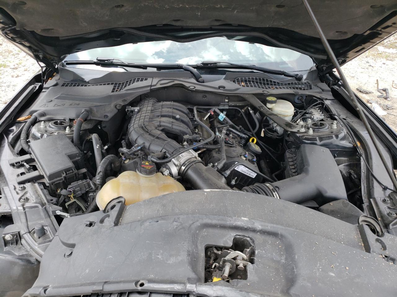 2015 Ford Mustang VIN: 1FATP8EM6F5377176 Lot: 65667724