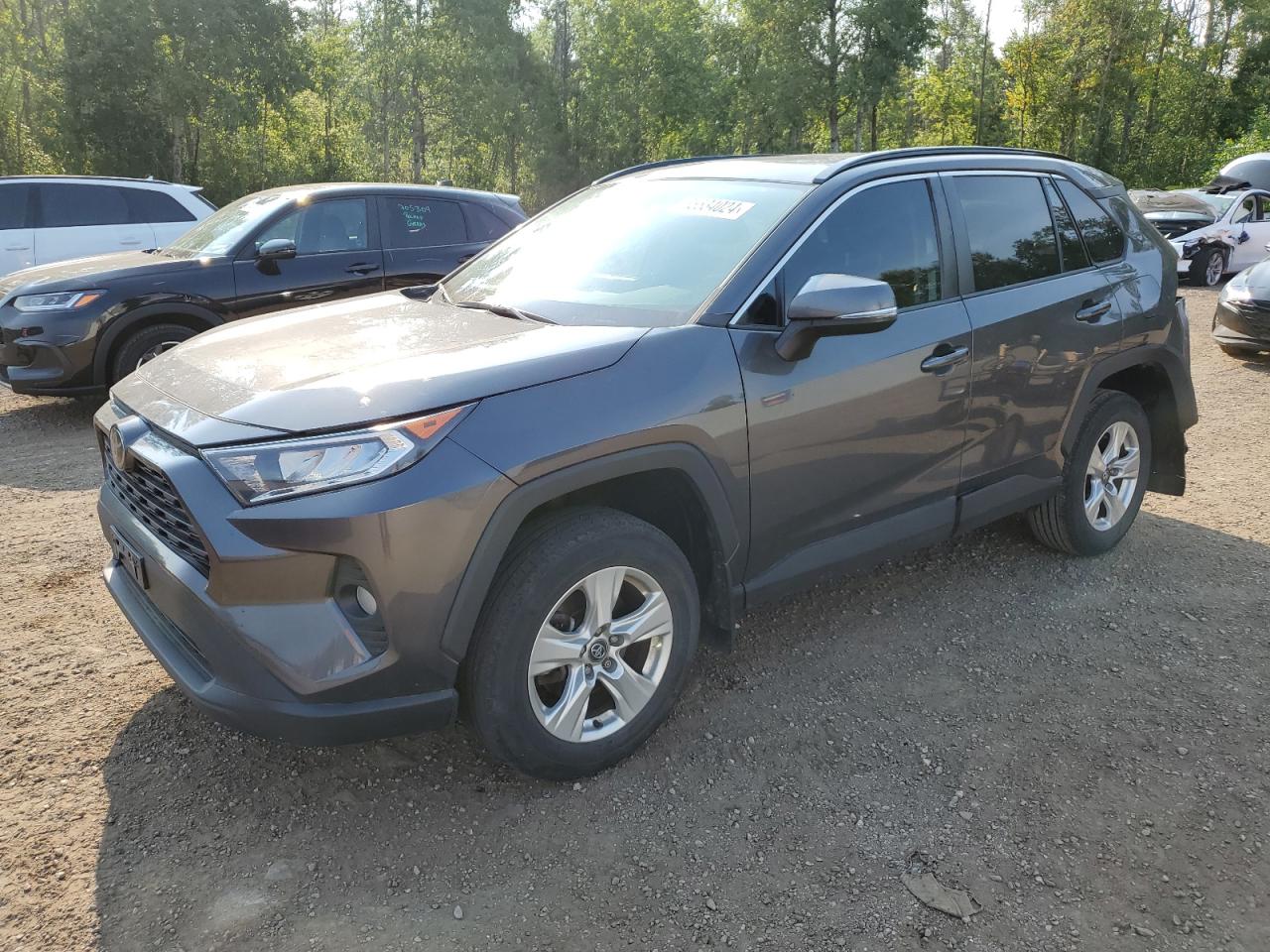 2019 Toyota Rav4 Xle VIN: 2T3W1RFV4KW008132 Lot: 65534024