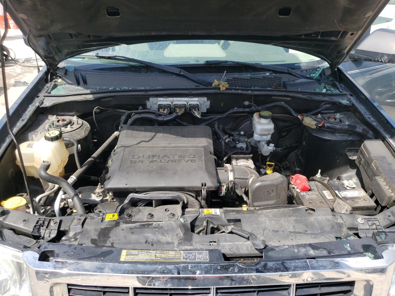 2011 Ford Escape Xlt VIN: 1FMCU9DG5BKC62547 Lot: 65670774