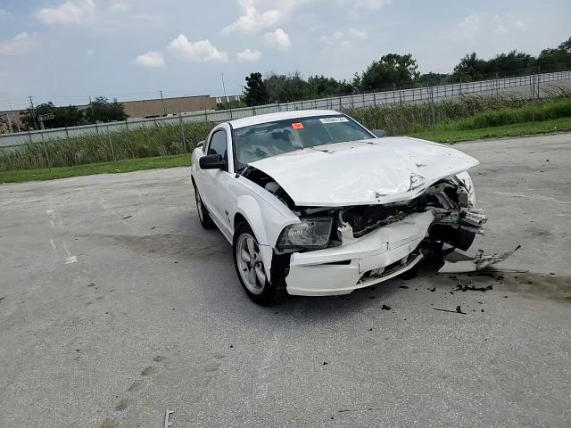 2008 Ford Mustang Gt VIN: 1ZVHT82H185194142 Lot: 66506124