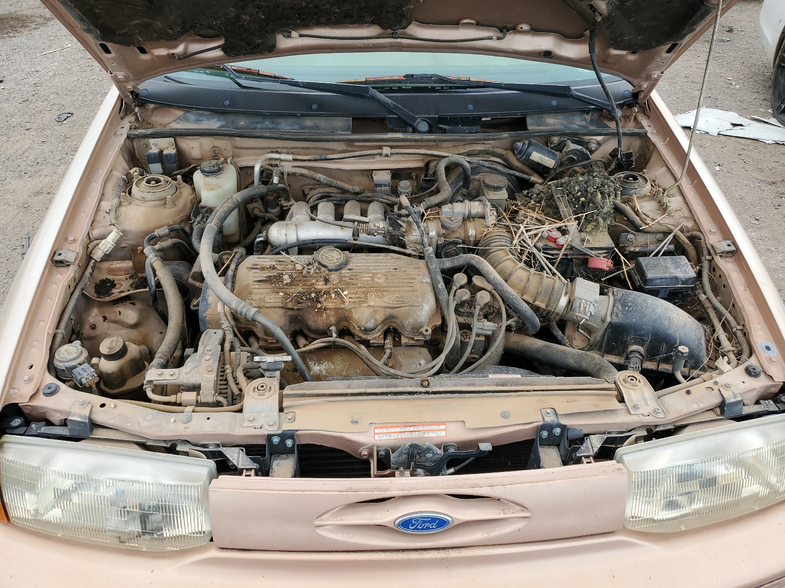 3FASP15J8SR168389 1995 Ford Escort Lx