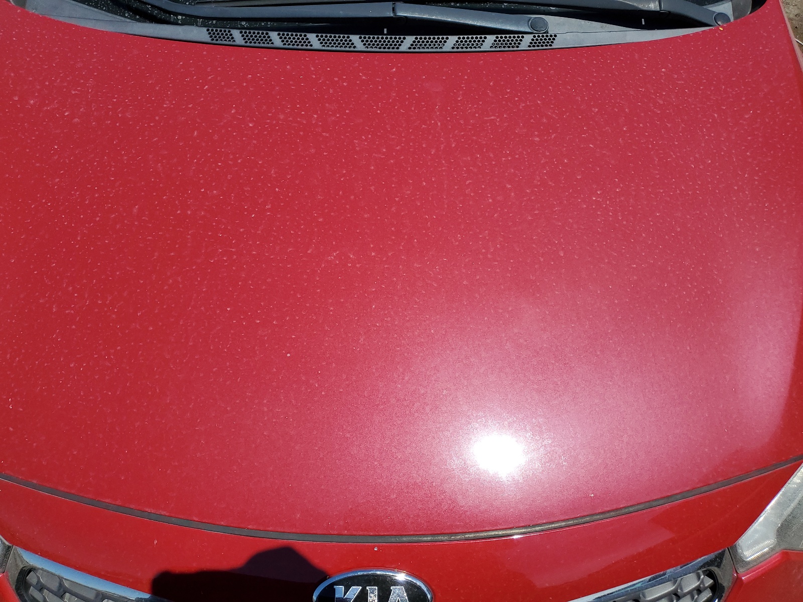 KNAFZ4A8XE5204274 2014 Kia Forte Ex