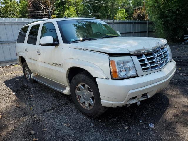 1GYEK63N03R149254 | 2003 Cadillac escalade luxury