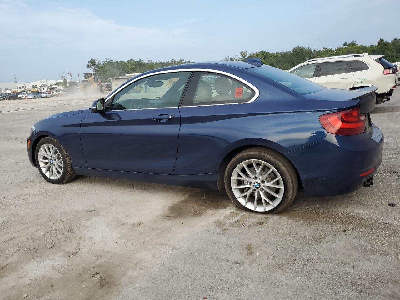2016 BMW 228 I Sulev VIN: WBA1F9C52GV545433 Lot: 66606044