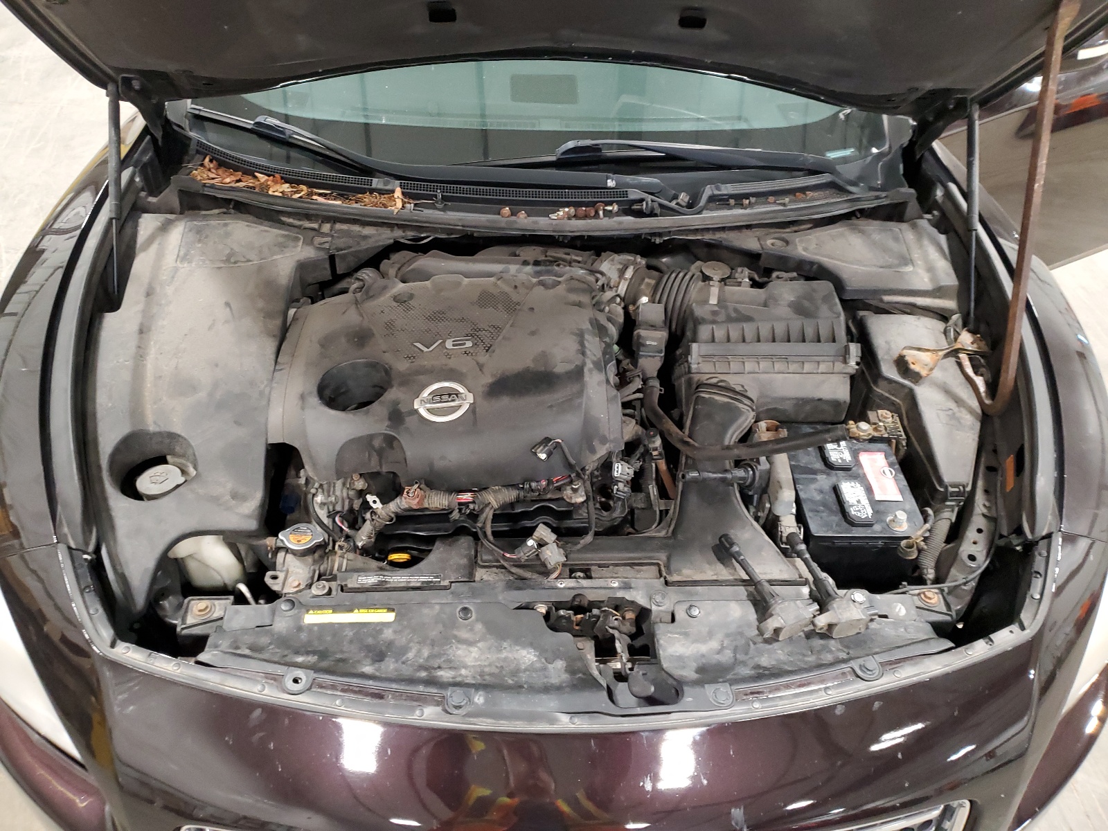 1N4AA5AP4AC813308 2010 Nissan Maxima S