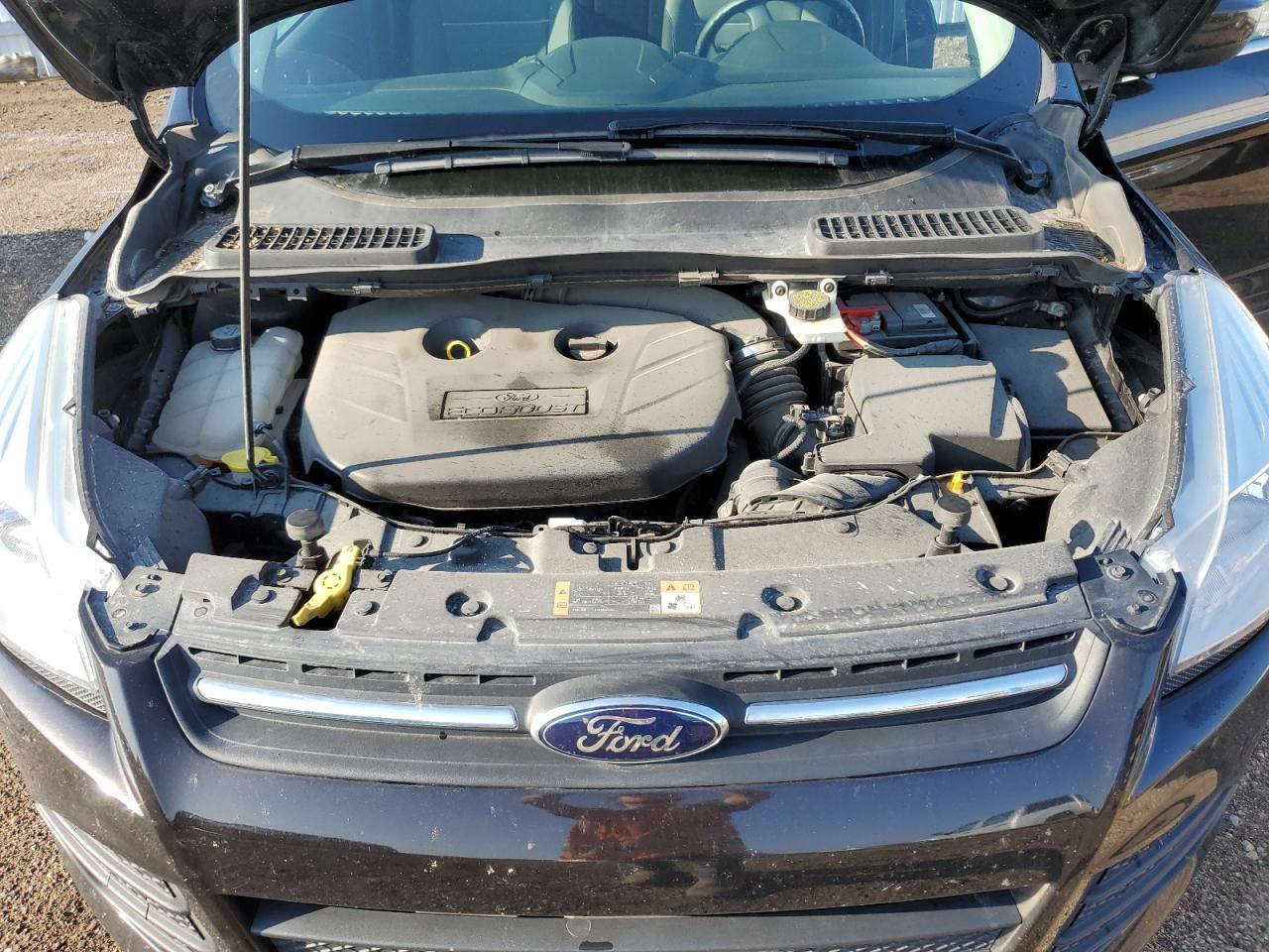 2013 Ford Escape Se VIN: 1FMCU9G97DUC14262 Lot: 64585574