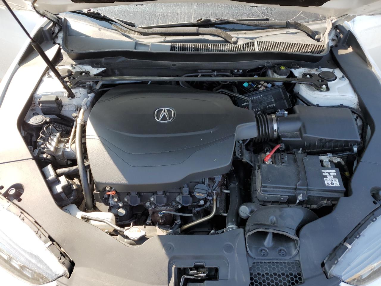 2020 Acura Tlx Technology VIN: 19UUB3F49LA800223 Lot: 68310694