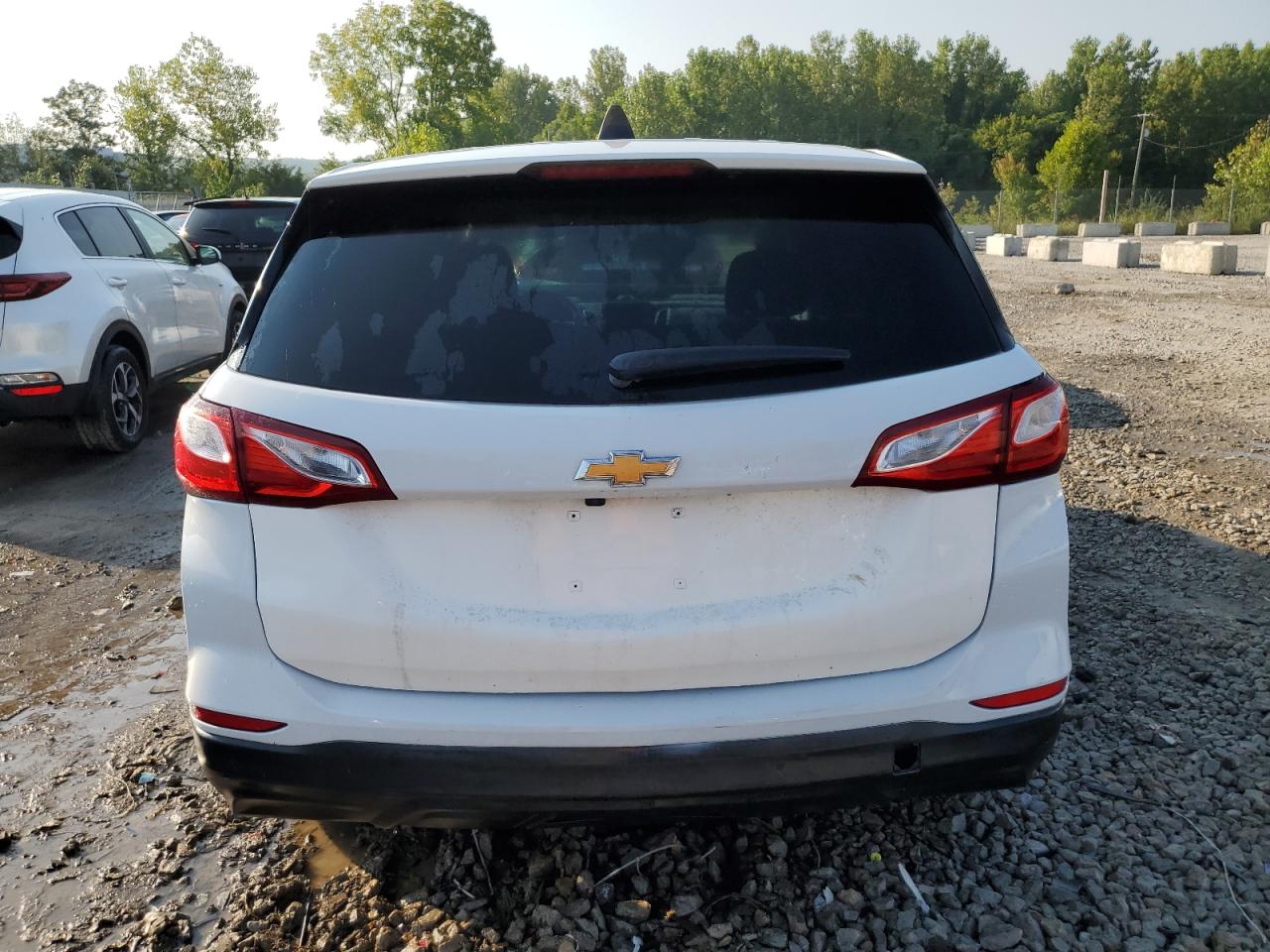 2019 Chevrolet Equinox Ls VIN: 2GNAXHEV7K6275126 Lot: 64452344