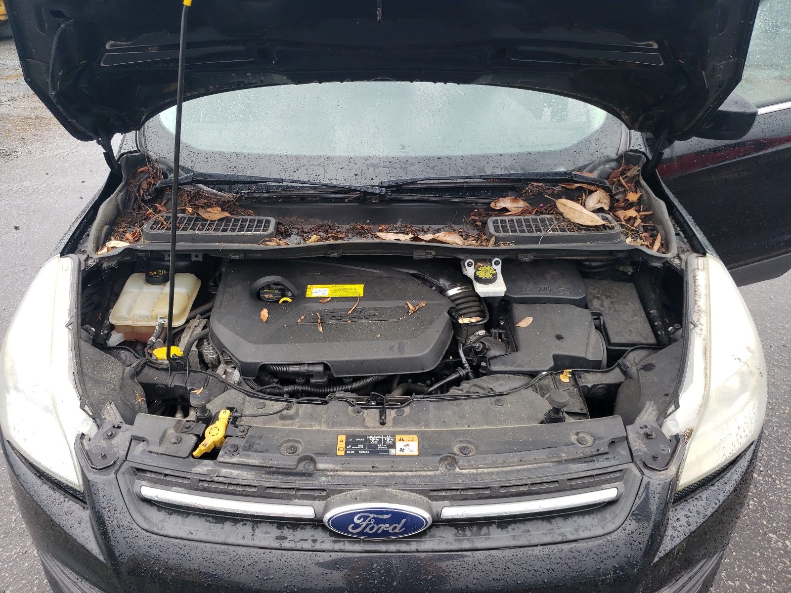 1FMCU0GX1GUC62354 2016 Ford Escape Se