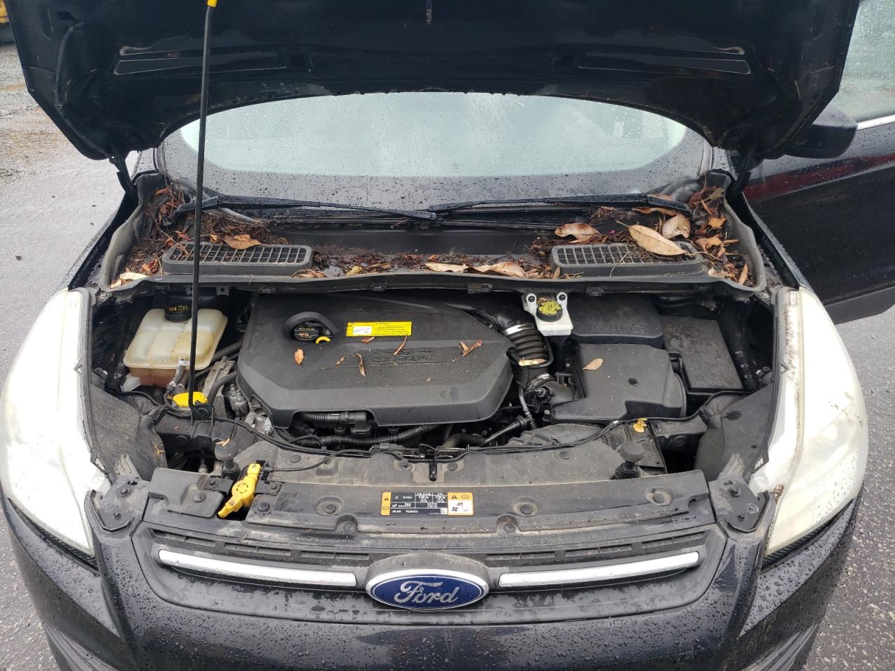 2016 Ford Escape Se VIN: 1FMCU0GX1GUC62354 Lot: 66315284