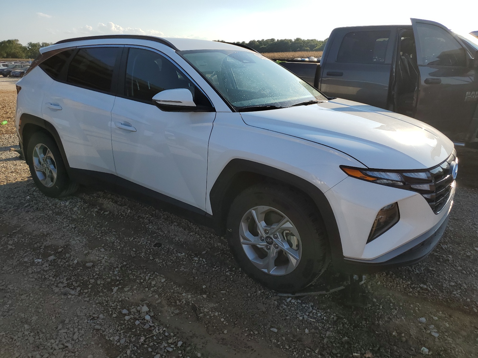5NMJB3AE7PH243499 2023 Hyundai Tucson Sel 5NMJB3AE7PH243499 2023 Hyundai Tucson Sel